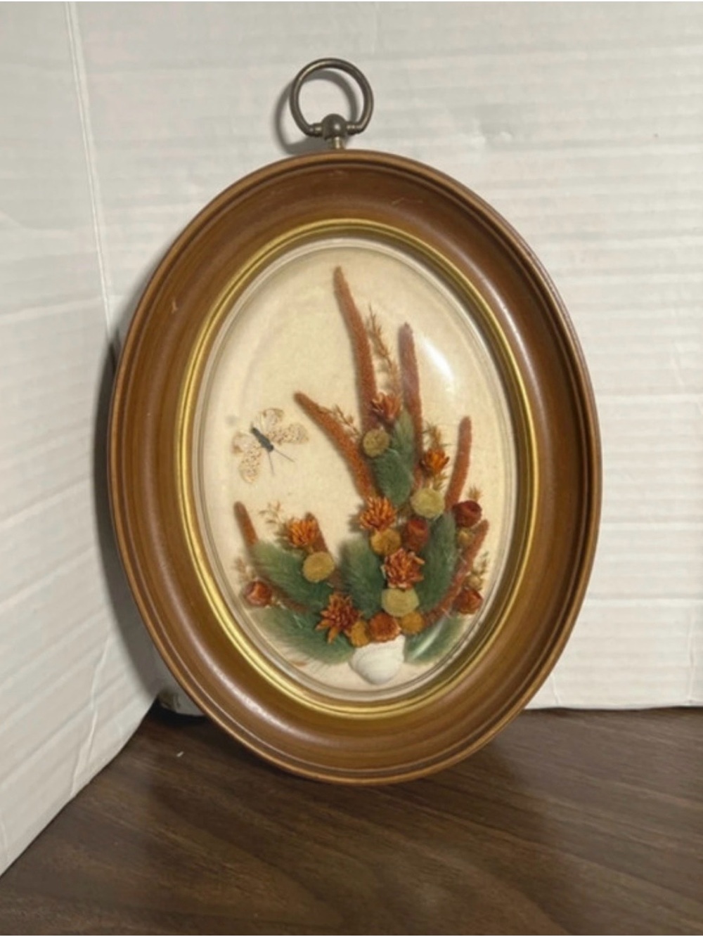 Vintage -Dried pressed flowers and taxidermy butterfly
